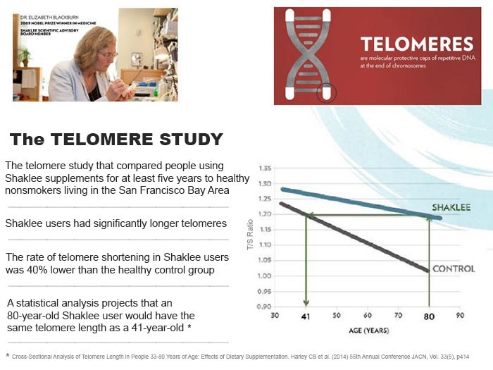 The Telomere Study