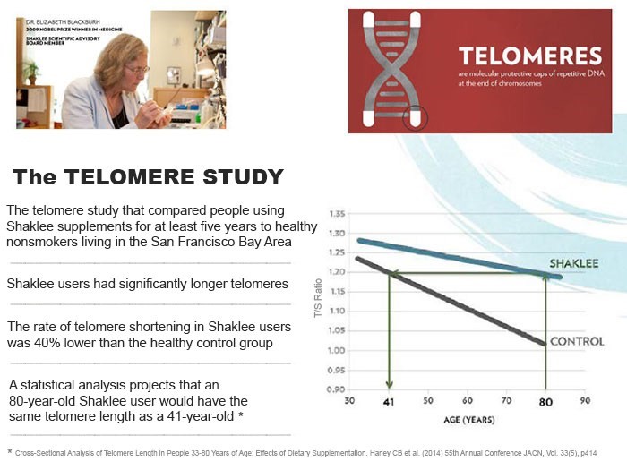 The Telomere Study